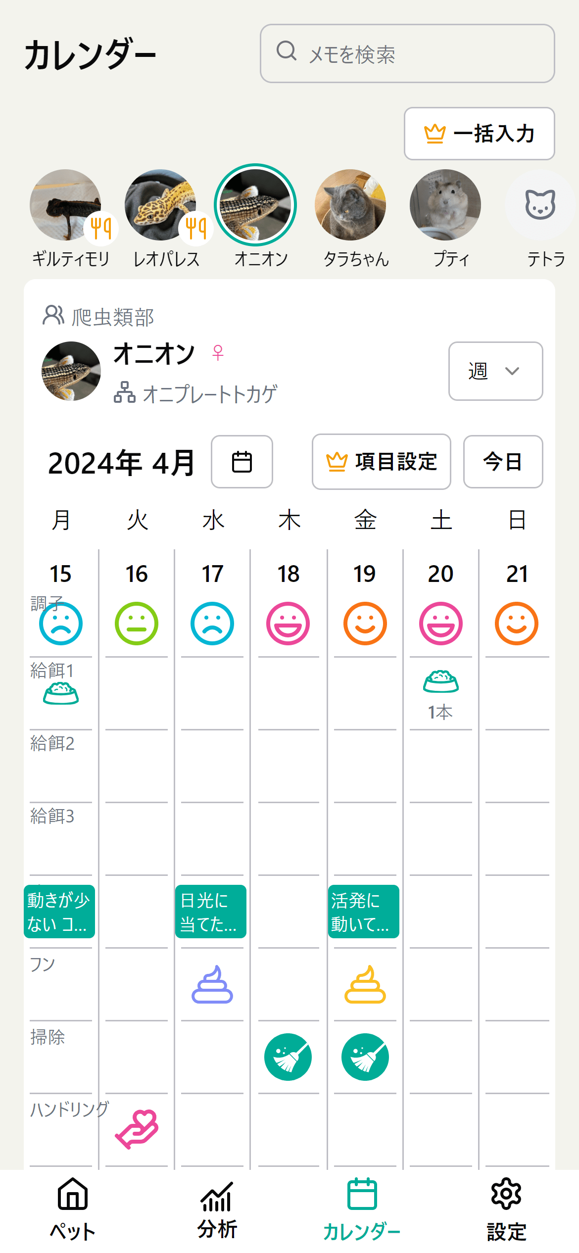 スクリーンショット